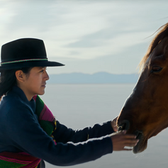 Personne portant un chapeau noir, caressant un cheval brun avec des montagnes en arrière-plan